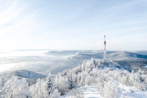 タワー, トップ, 冬の無料の写真素材