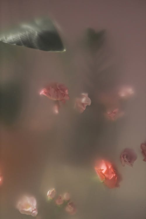 Flowers Behind a Translucent Glass