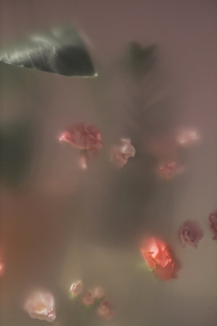 Flowers Behind A Translucent Glass