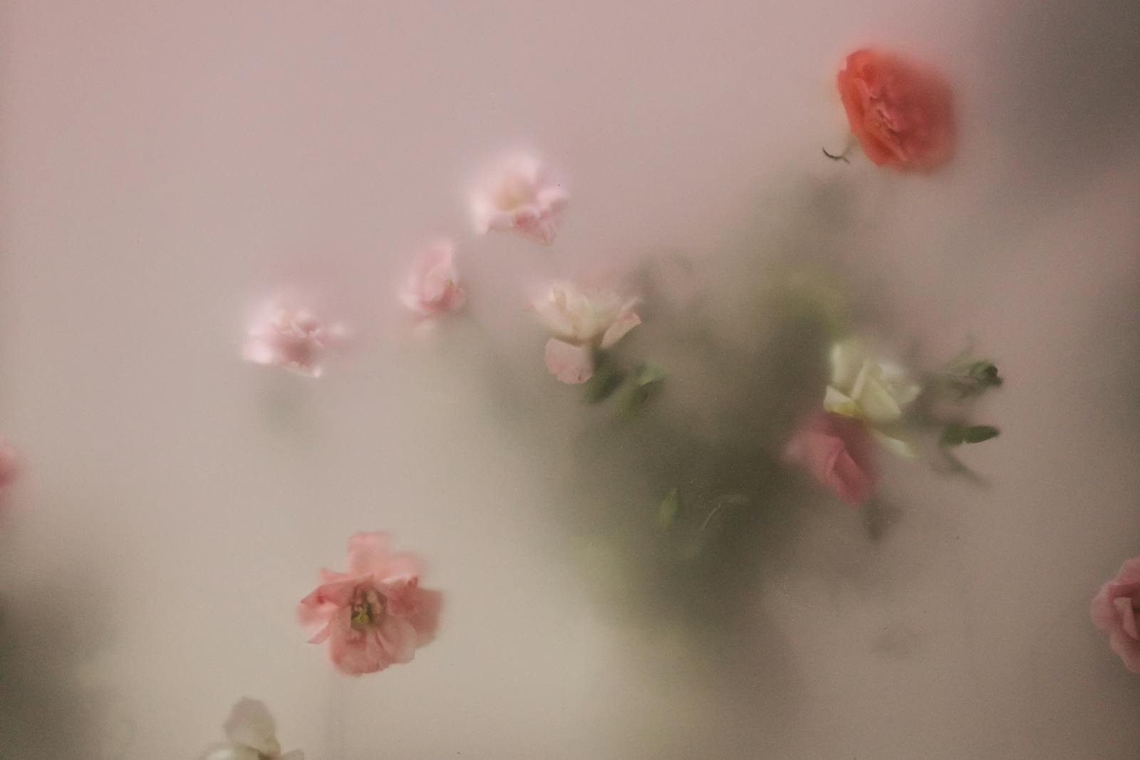 roses