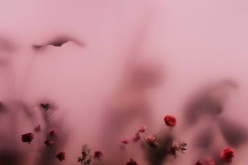 Flowers Behind Milk Glass