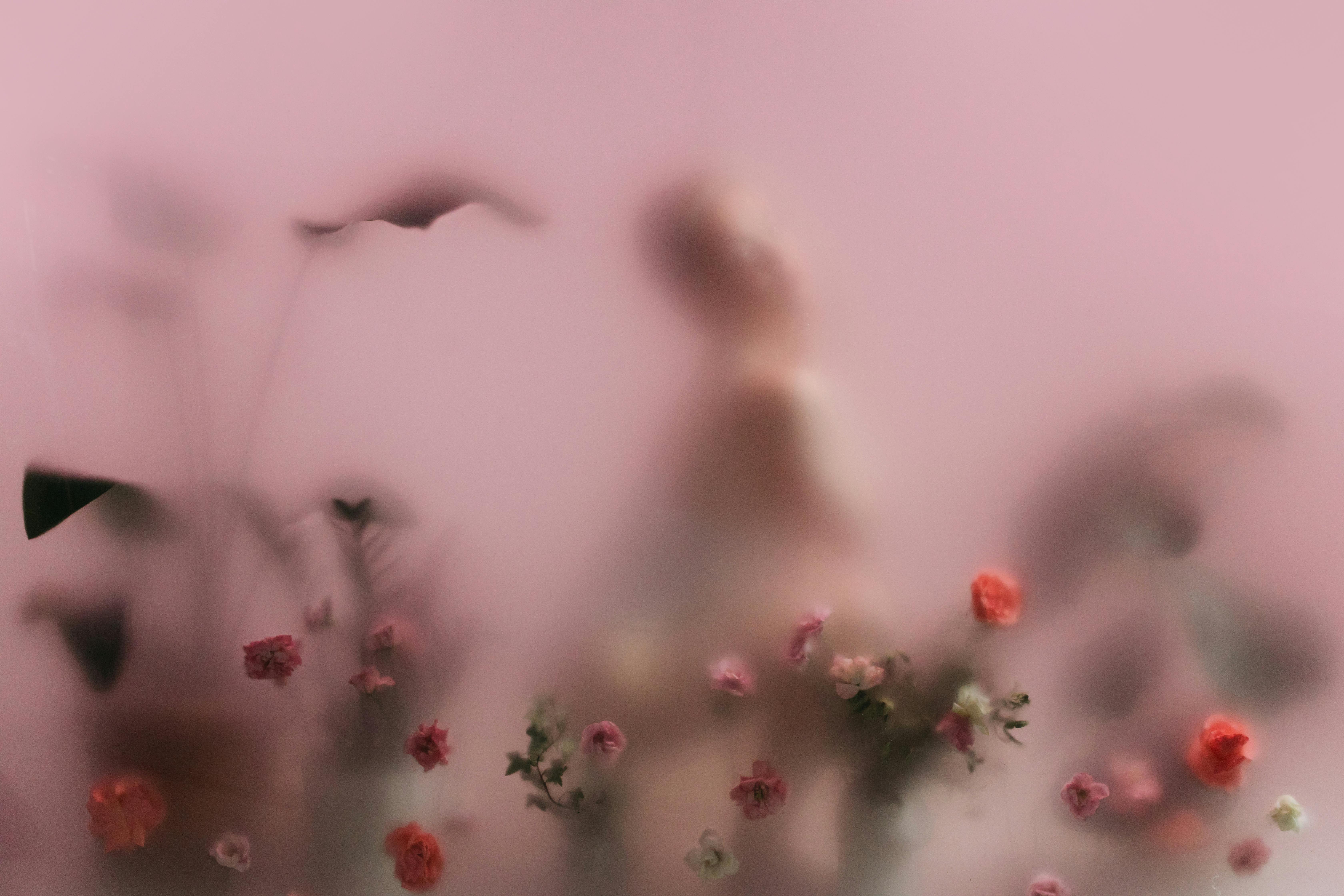 A Person and Flowers Behind a Translucent Glass · Free Stock Photo