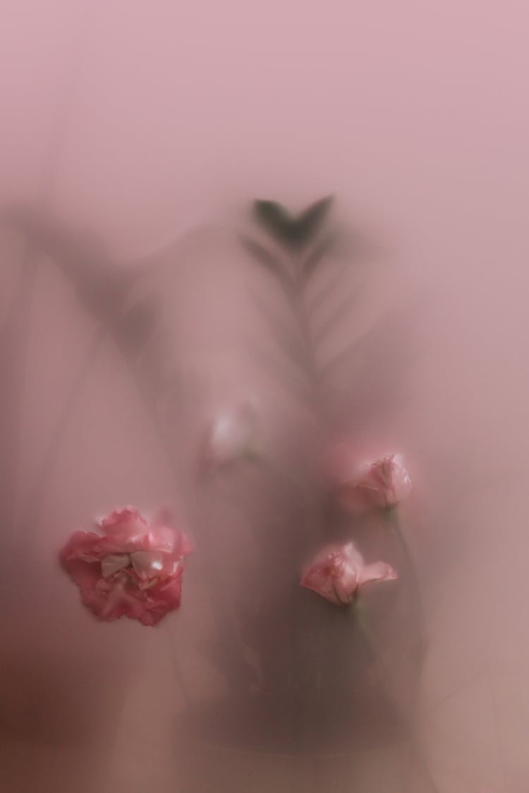 Flowers Behind A Translucent Glass