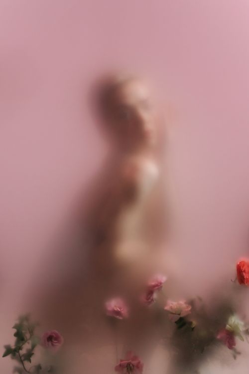 Free Blurred artistic image of a woman behind glass with flowers on a pink background. Stock Photo