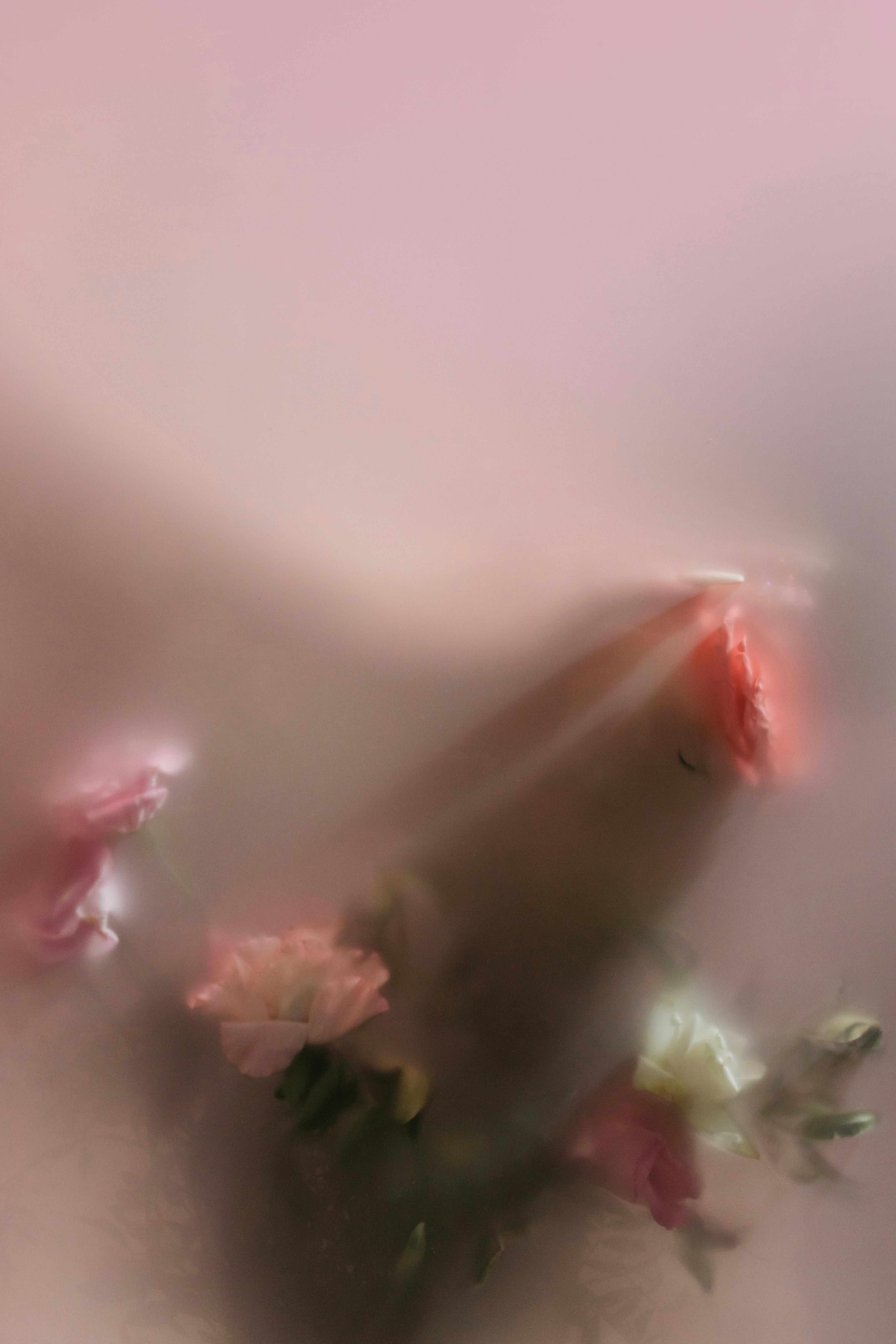 Blurred flowers behind translucent surface creating an abstract pink composition.