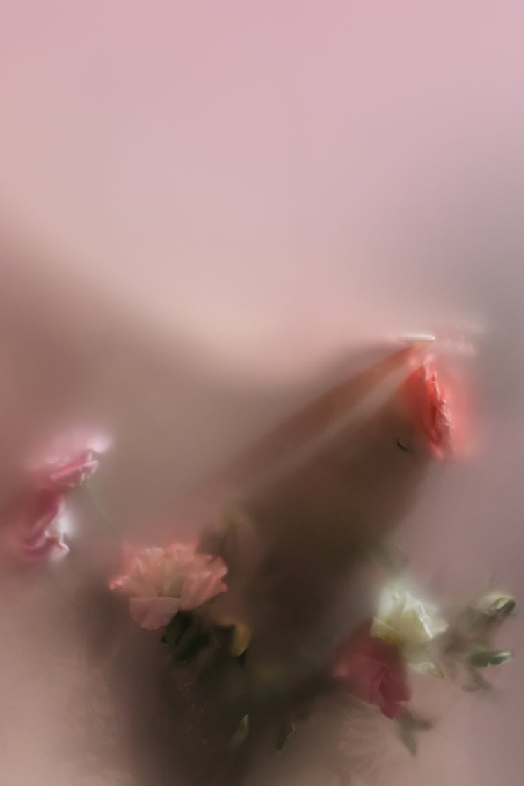 Flowers Behind A Translucent Glass