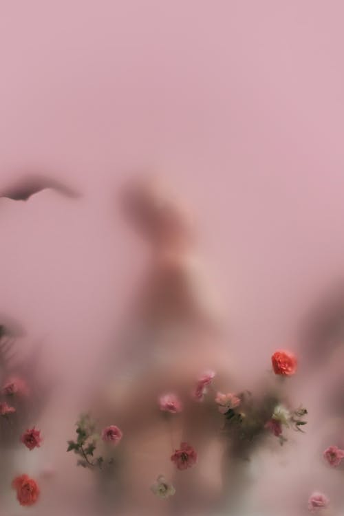 ガラス, ピンクの背景, フラワーズの無料の写真素材