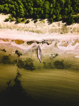 Drone shot of beach with shipwreck, sand, and forest edge.