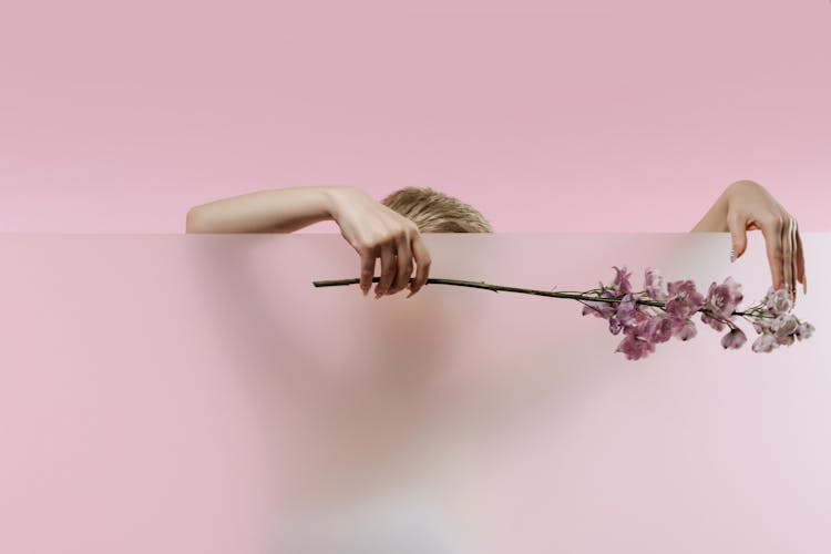 A Person Holding A Stem Of Flowers