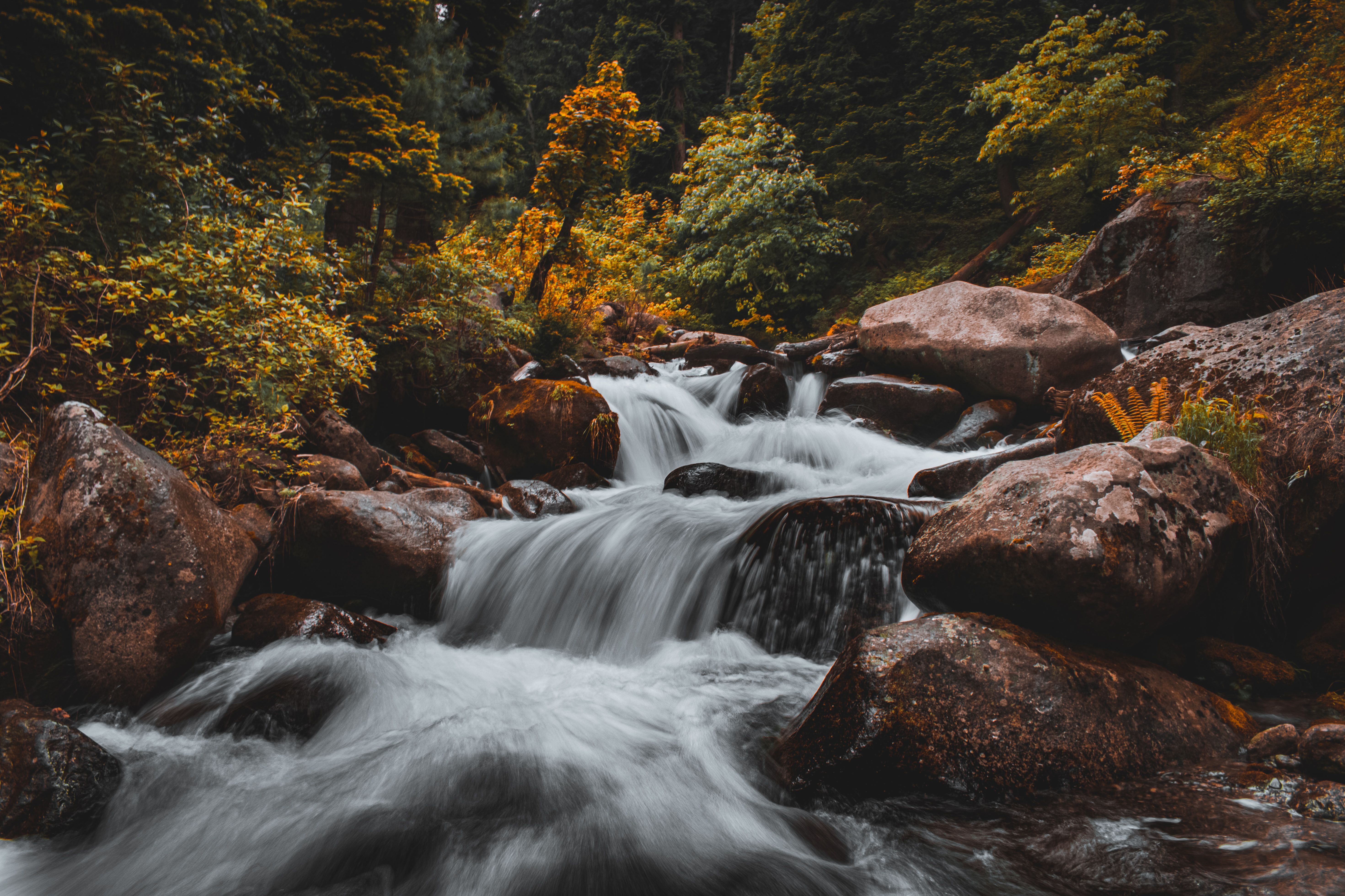 A Flowing Water on the Rocky River · Free Stock Photo