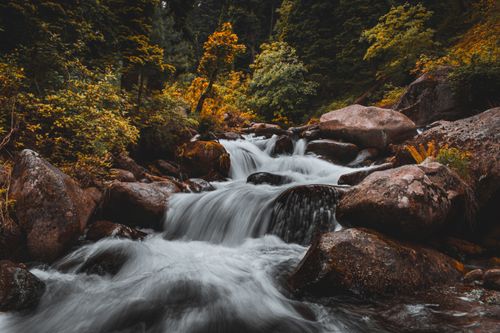 Free A tranquil scene of a rocky creek flowing through a lush forest, showcasing vibrant autumn colors. Stock Photo