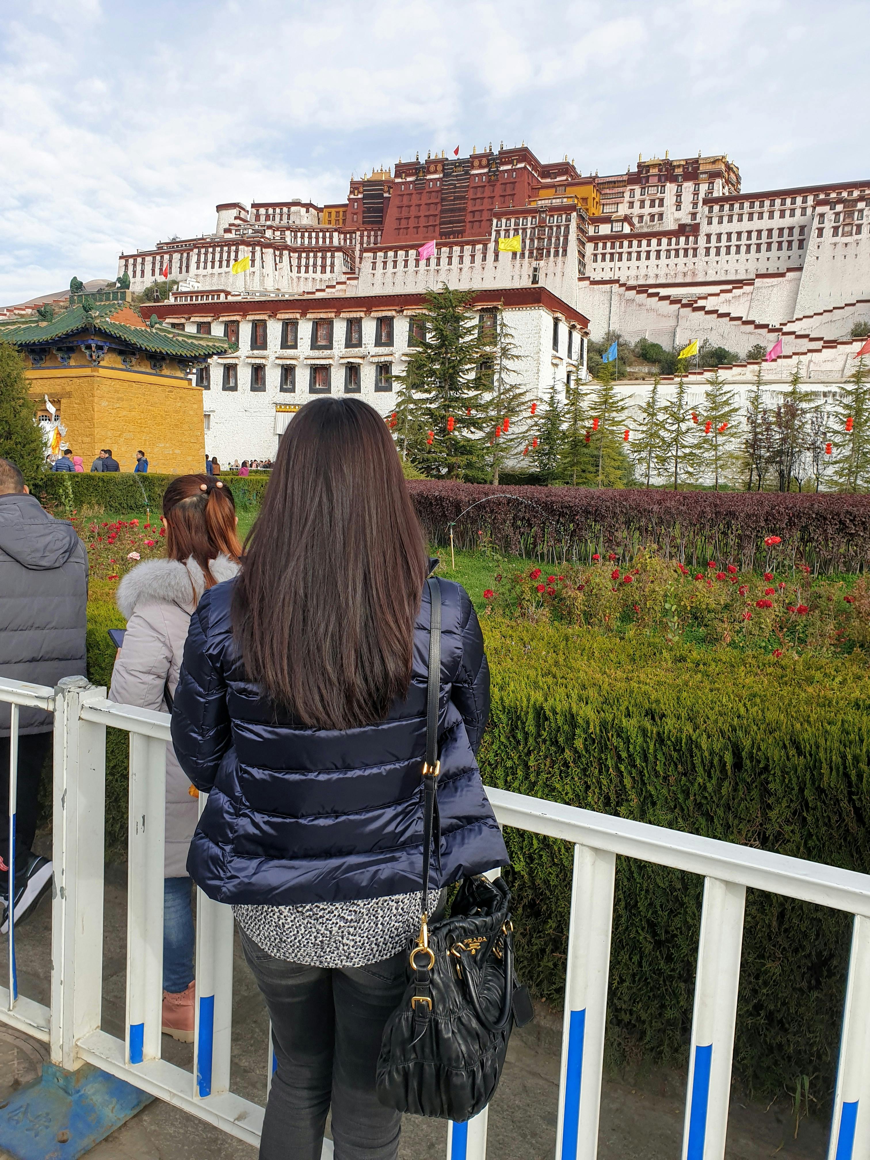 Military helicopters flying in formation over a desert landscape