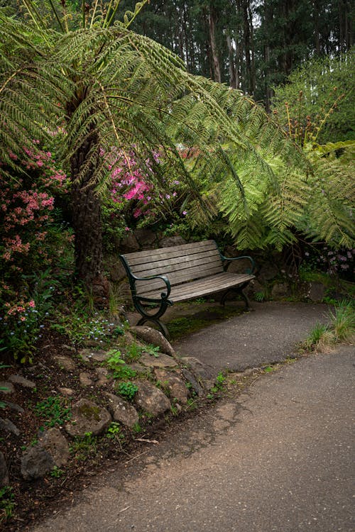 Brown Wooden Bench Near Green Leaf Plants