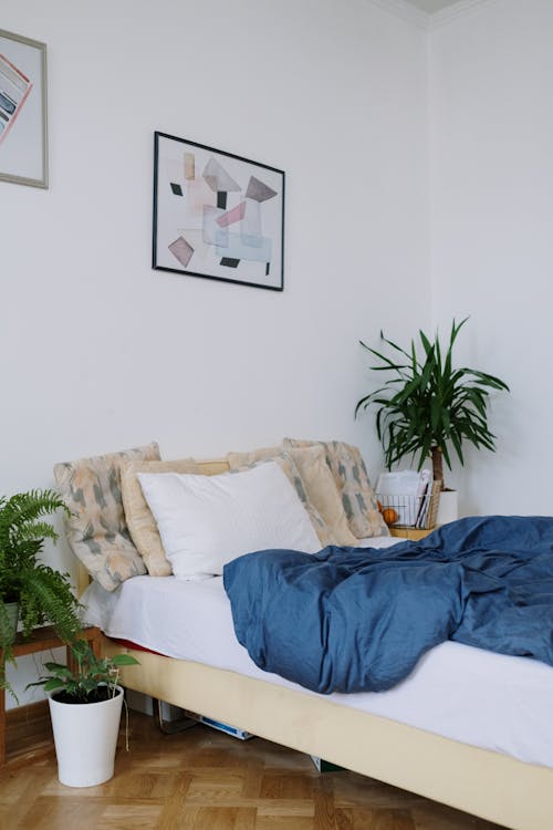 Free A Green Plants Beside the Cozy Bed with Pillows Stock Photo