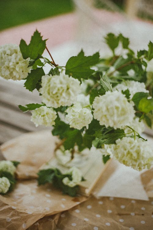 Guelder Rose Decorating Table