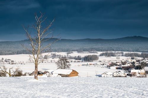Landscape of a Village Covered in Snow in Winter 