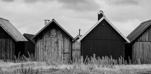 Gratis lagerfoto af baggrund, baggrunde, fiskeri