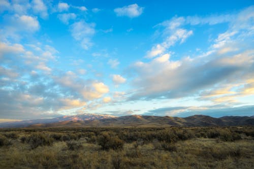 Majestic scenery of dry grassy meadow near hills against picturesque cloudy blue sky at sunset