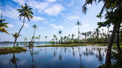 Goa