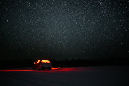 Immagine gratuita di alberi, auto, ciglio della strada