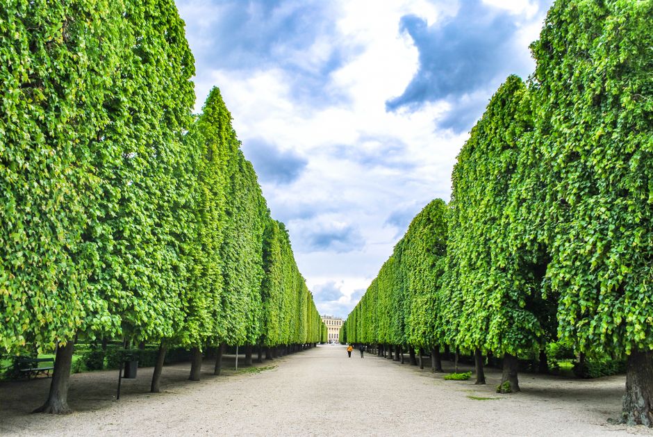 The Best Parks in Allen, TX