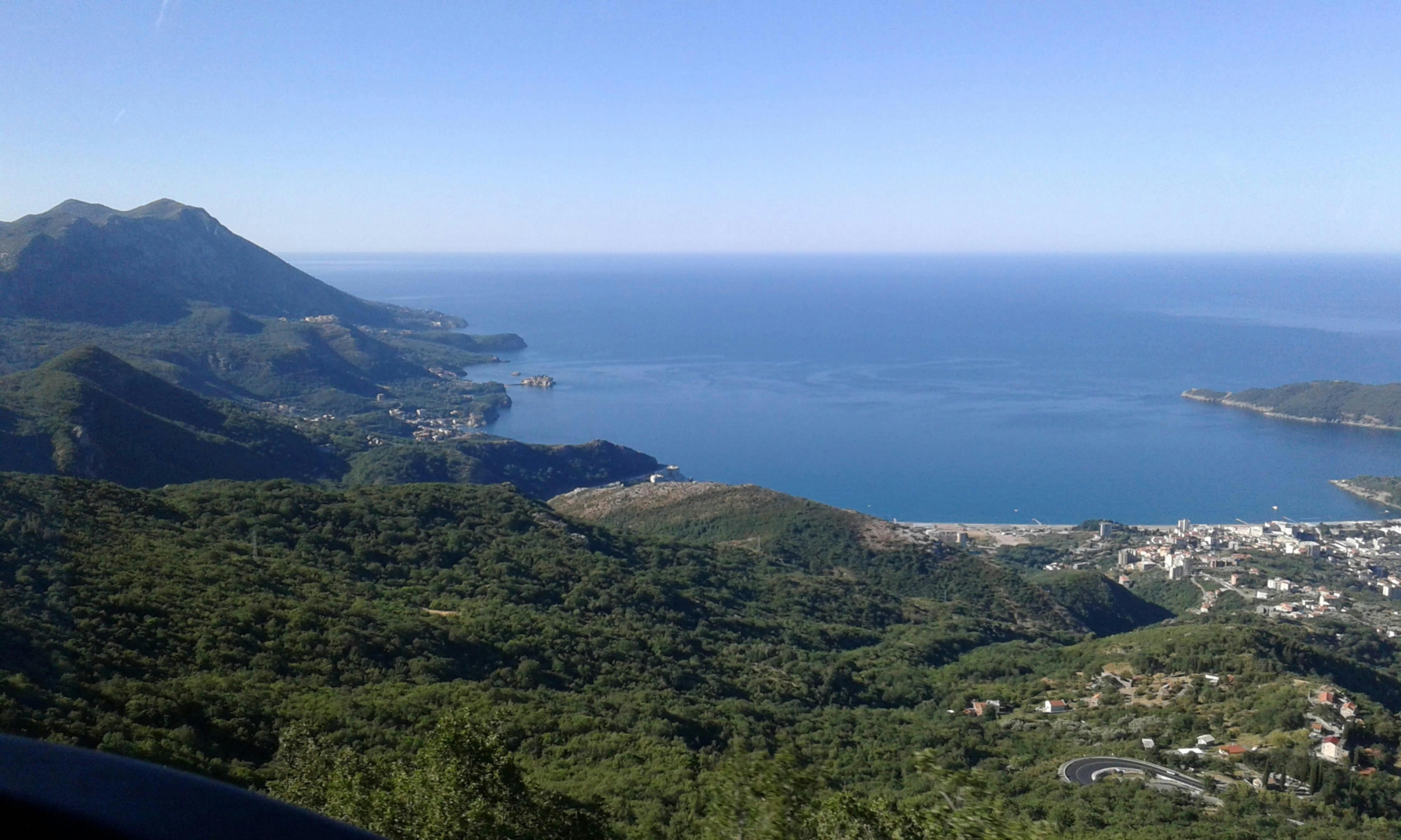 Aminoácidos y fitonutrientes