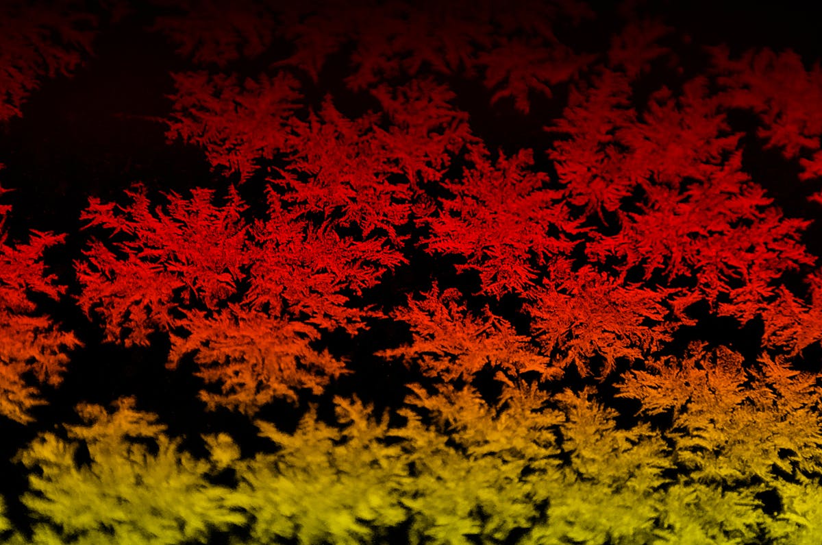 Table spread with Mediterranean dishes, bread, and salad