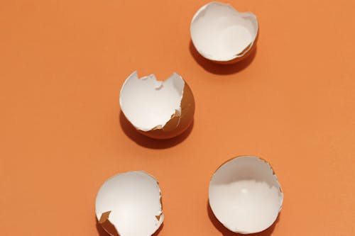Egg Shells on an Orange Background