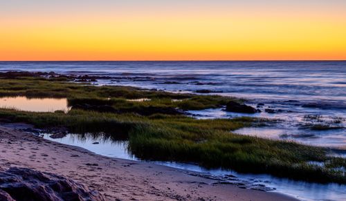 Free A breathtaking sunset view over a coastal landscape with serene waves and lush grass. Stock Photo