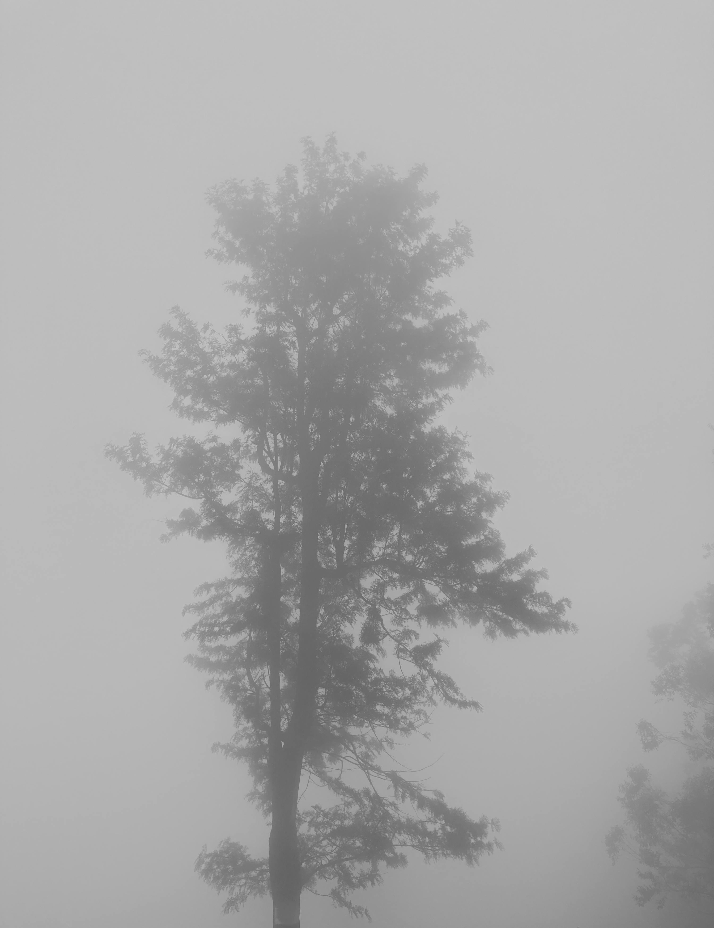 Close-up of rice bowl with vegetables and protein arranged neatly