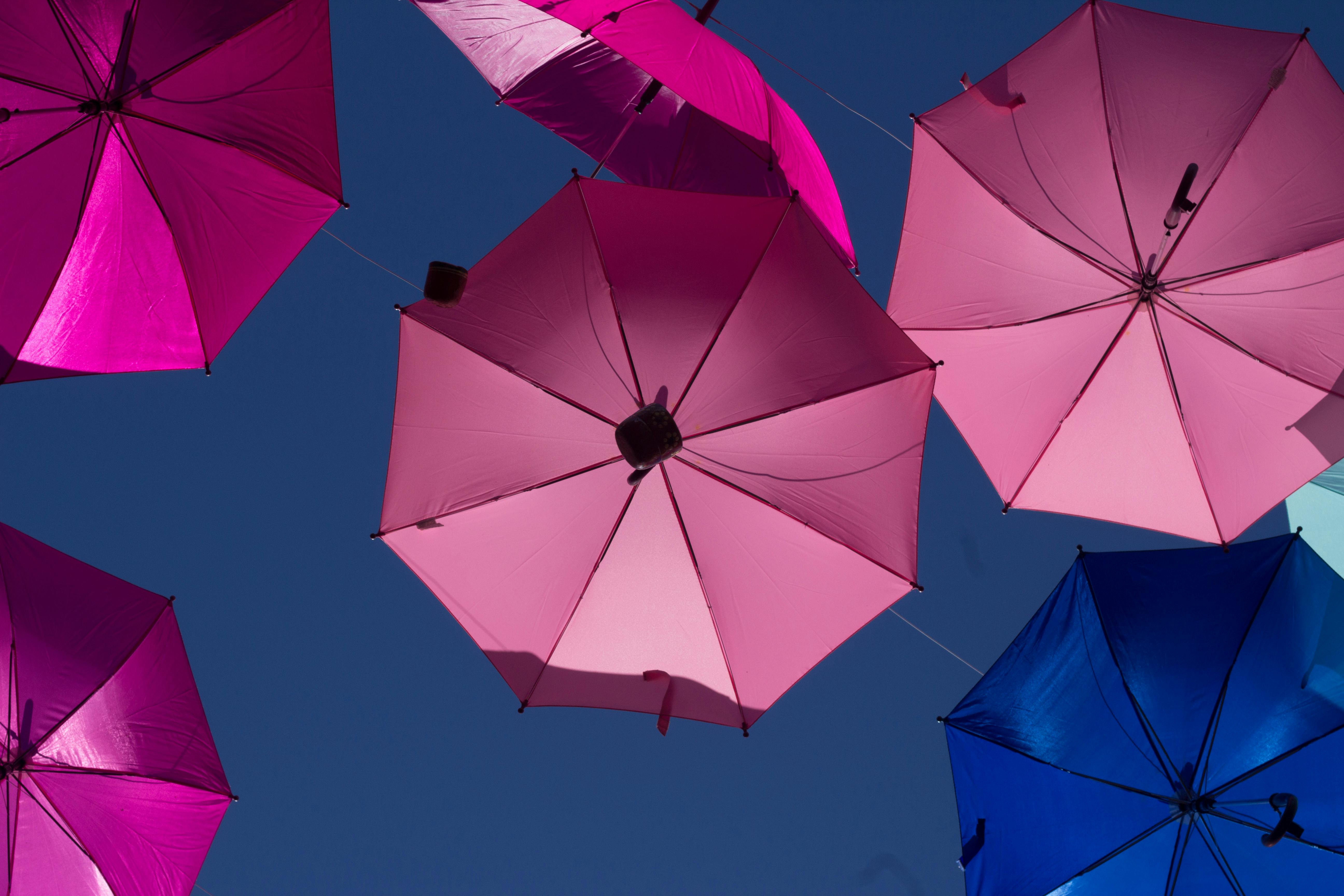 pink and purple umbrella