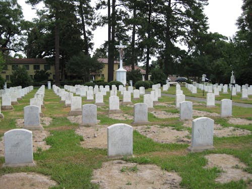 Kostenloses Stock Foto zu friedhof