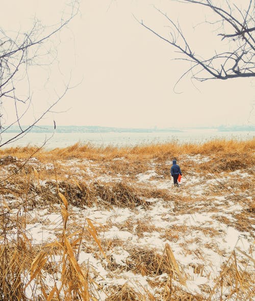 Back view of anonymous person in warm clothes strolling on snowy meadow with dry grass near trees and river under bright sky in winter day in nature