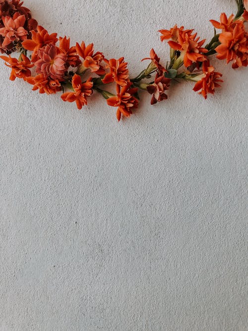 Free Bunch of gentle red flower heads arranged on table Stock Photo