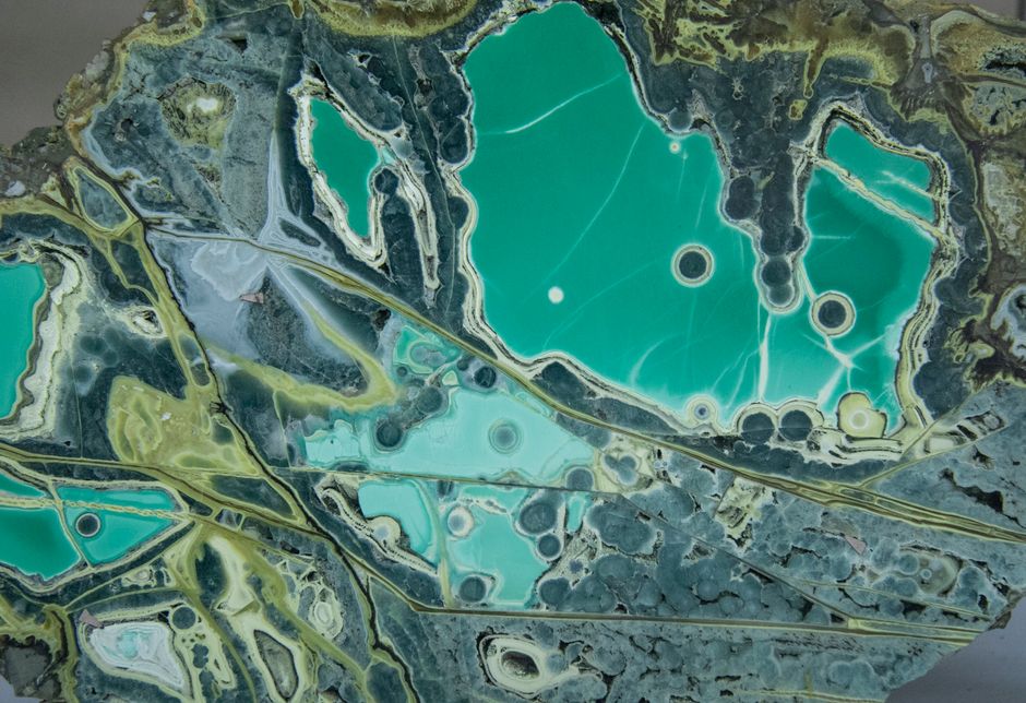 9. Organic Shapes and Fluid Forms: A Return to Nature 9. Organic Shapes and Fluid Forms: A Return to Nature