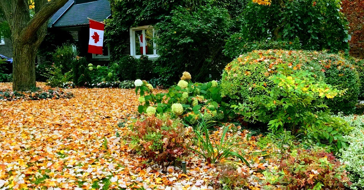 Free stock photo of canada, colors of autumn, house