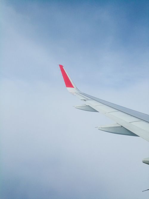 Free A serene view of an airplane wing flying above the clouds, captured from the passenger window. Stock Photo