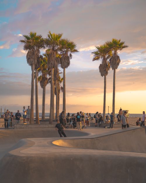 Free Skateboarders and palm trees at Venice Beach skate park during a vibrant sunset in Los Angeles, California. Stock Photo