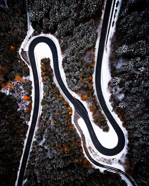 A Curvy Road Surrounded by Trees