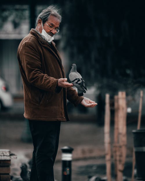 Free A Pigeon on a Man's Hand  Stock Photo
