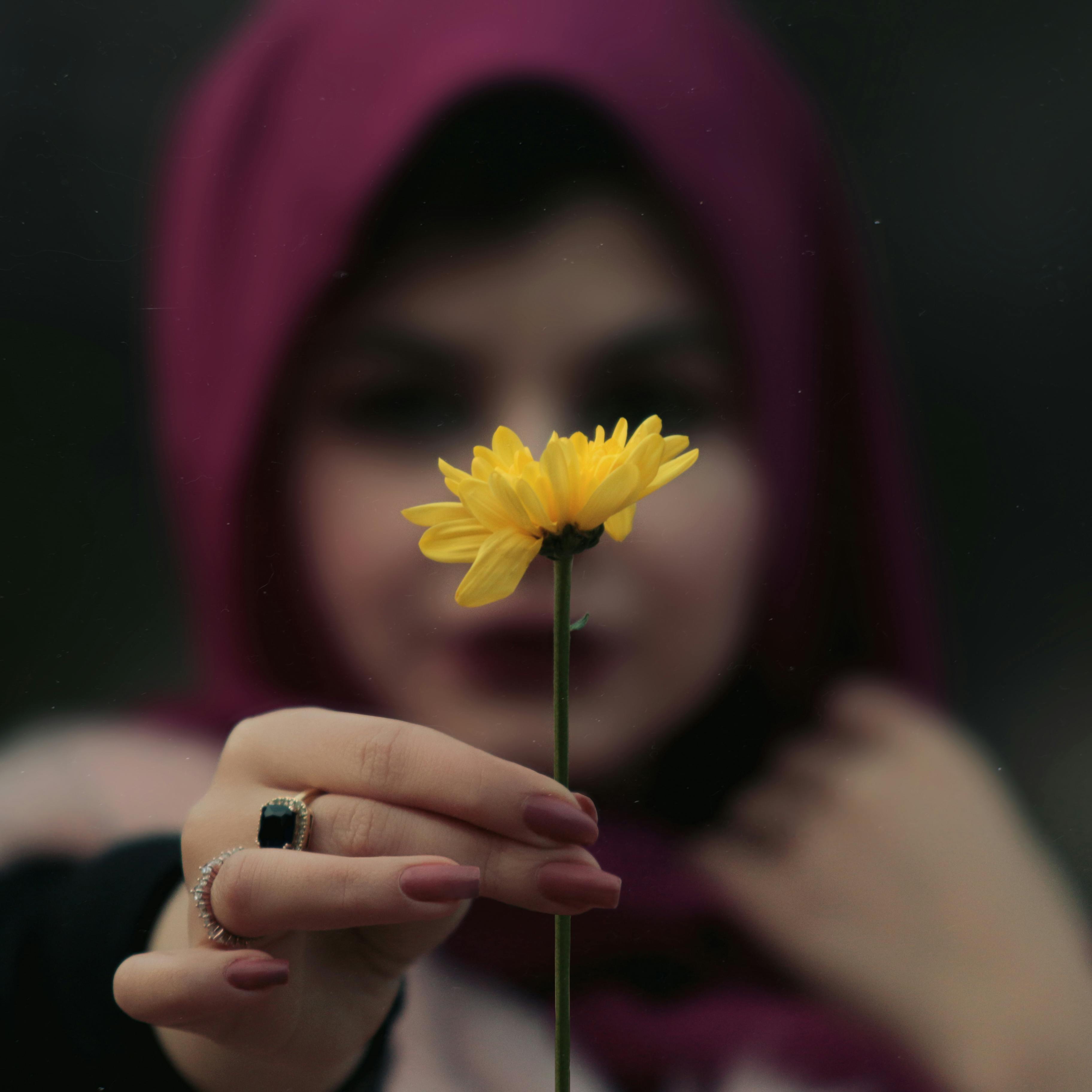 Free A vibrant yellow flower held in focus with a blurred woman in the background, creating a delicate, artistic effect. Stock Photo