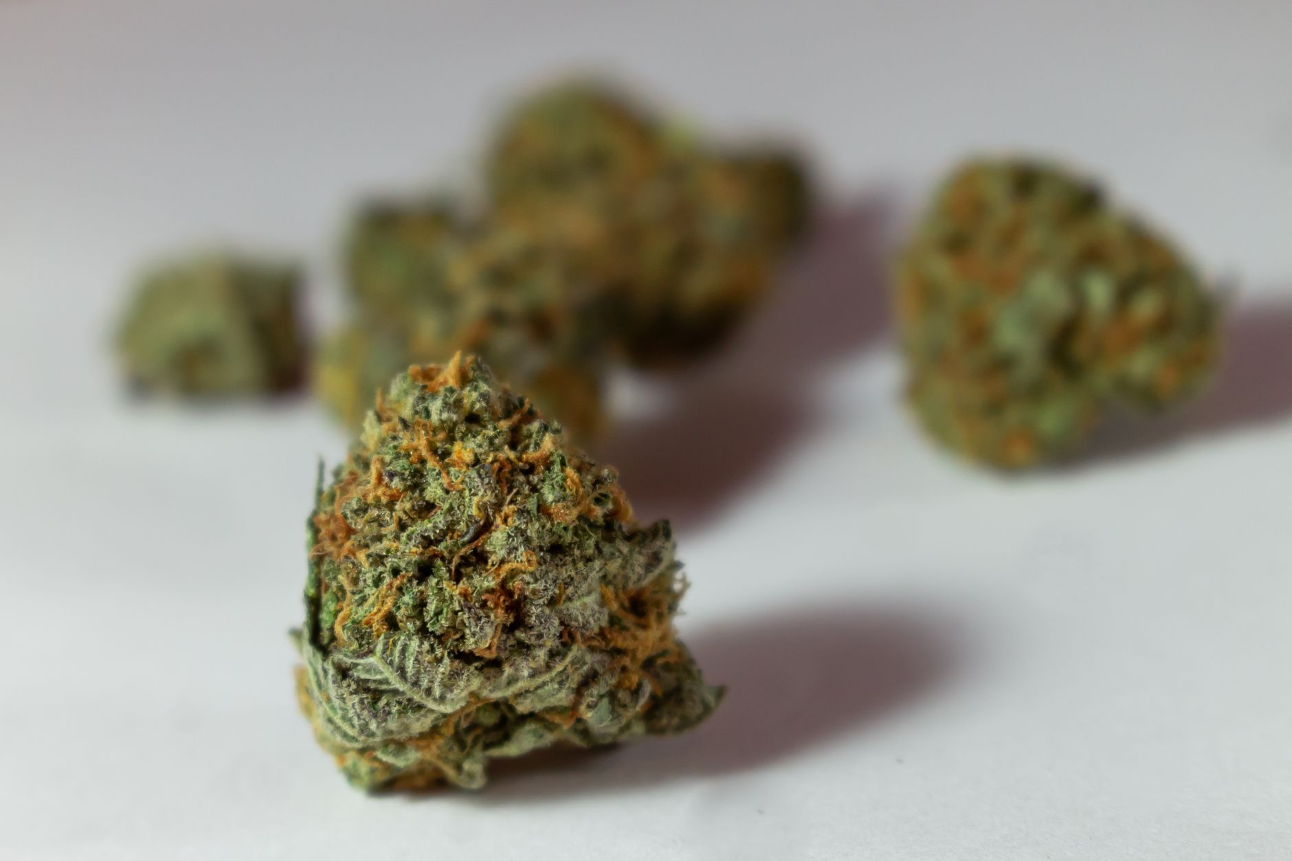 Best cannabis products for chronic back pain relief Cannabis for back pain products including tinctures and topicals at dispensary