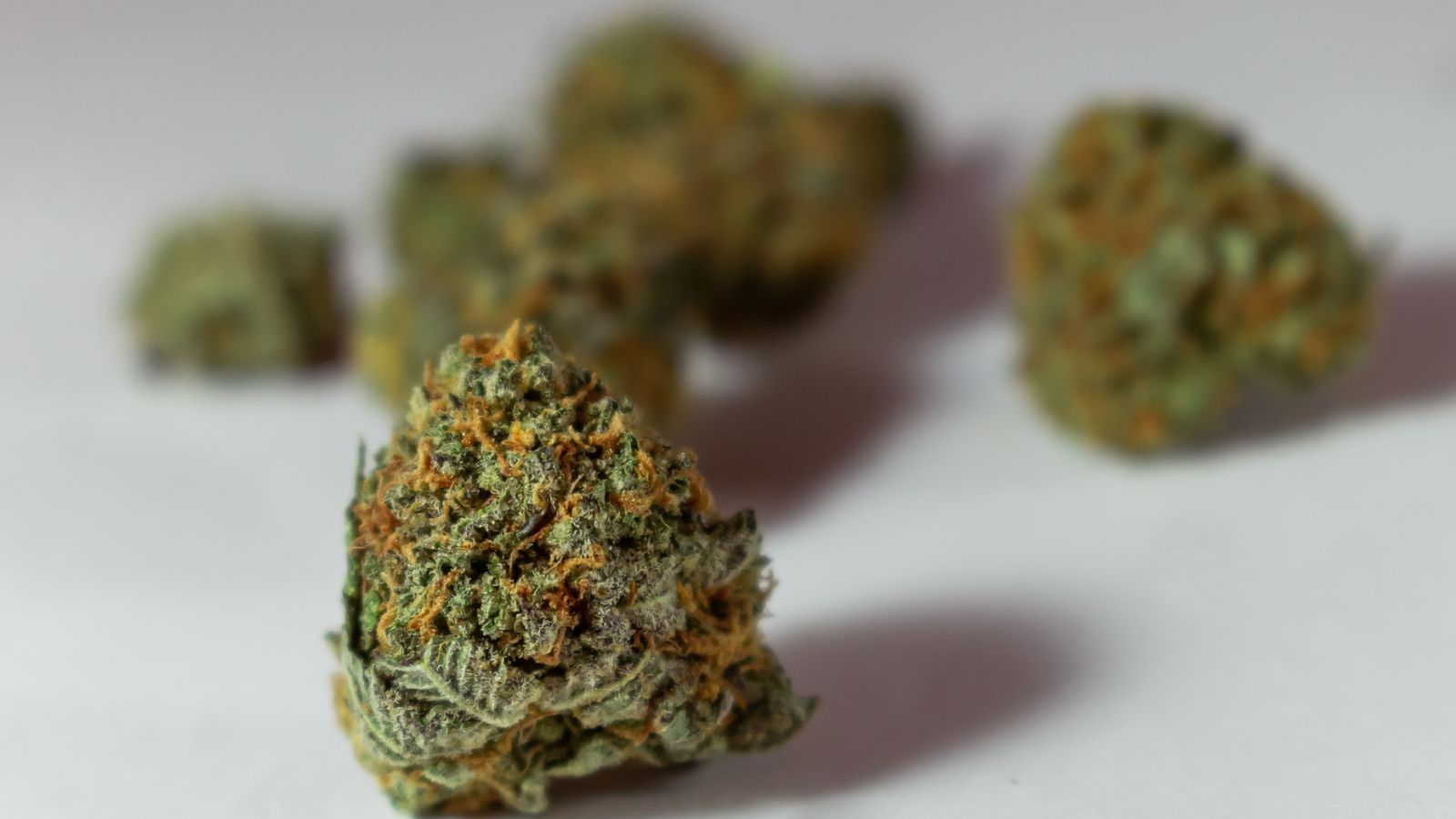 Detailed macro image of dried cannabis buds showcasing texture and color against a white background.
