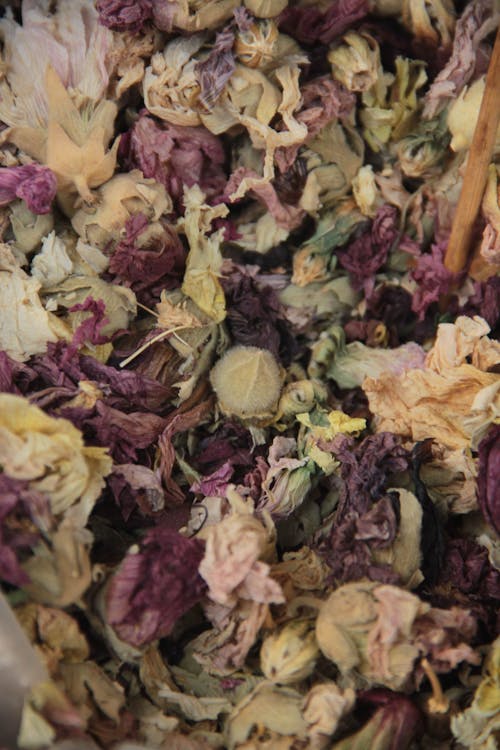 Gratis Fotos de stock gratuitas de aromático, arreglo de flores secas, arreglo seco Foto de stock