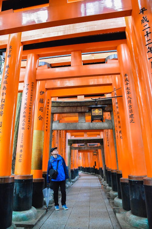 Fotos de stock gratuitas de 京都, 鳥 居