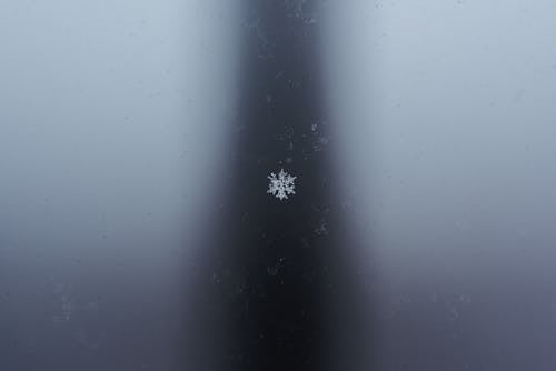 Close-up of a Single Snowflake 