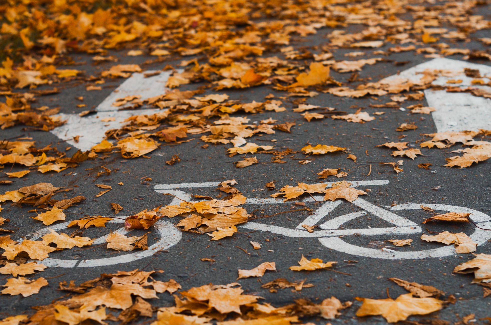 Fietspad omhoog gedrukt door hitte in Ysselsteyn