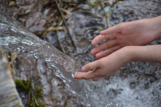 Close-up of hands catching fresh flowing water in a natural outdoor setting.