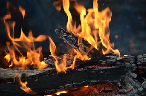 Close-up Photo of Burning Firewood