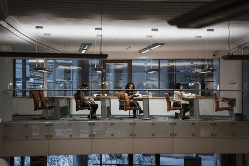 College Students Researching at the Library